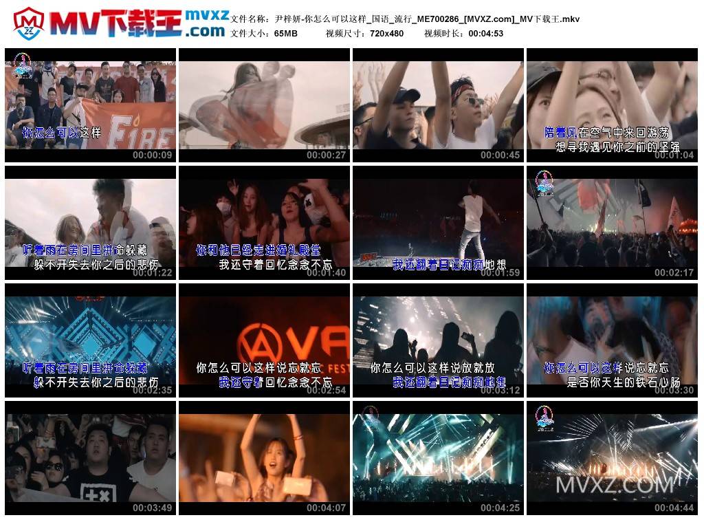 尹梓妍-你怎么可以这样_国语_流行_ME700286